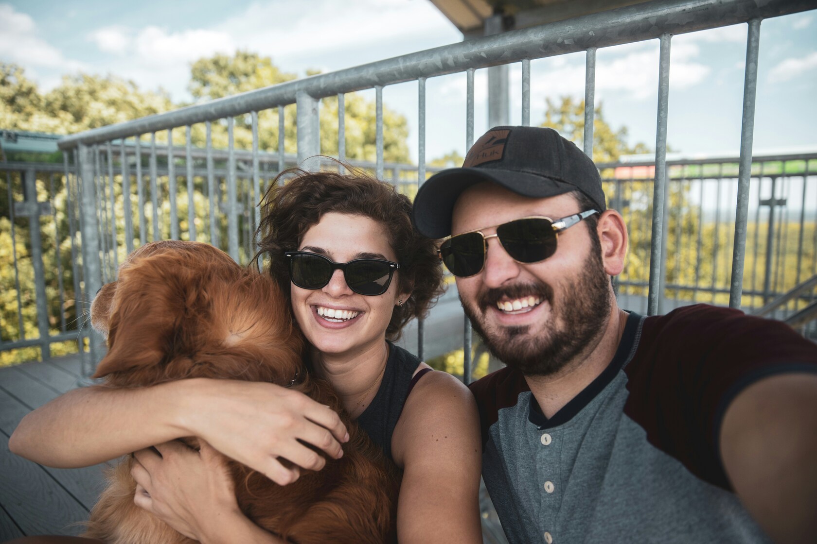 Group of dogs and owners at a casual meetup
